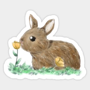 Rabbit and Yellow Flowers Sticker